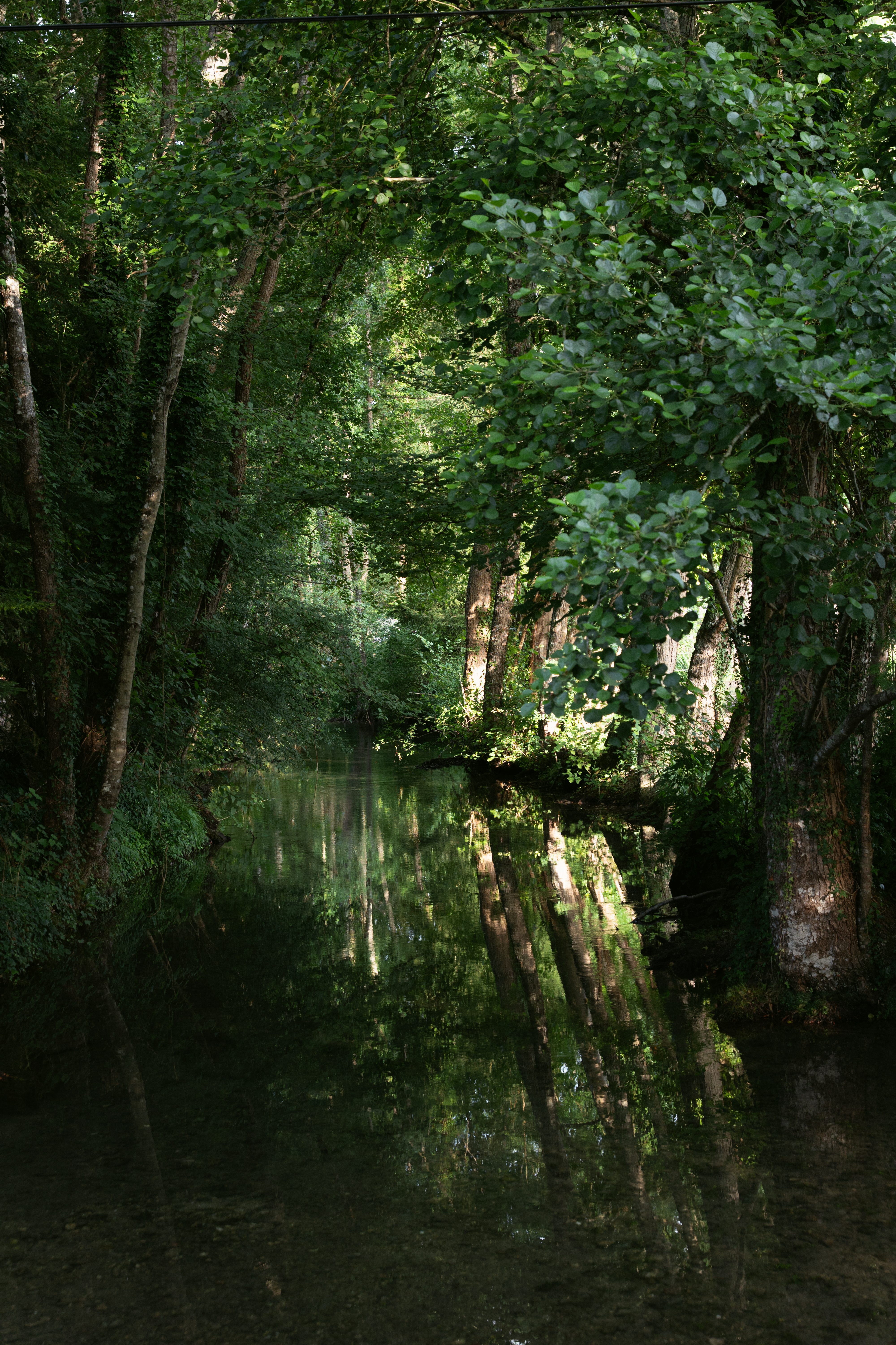 Clos Saint-Aignan